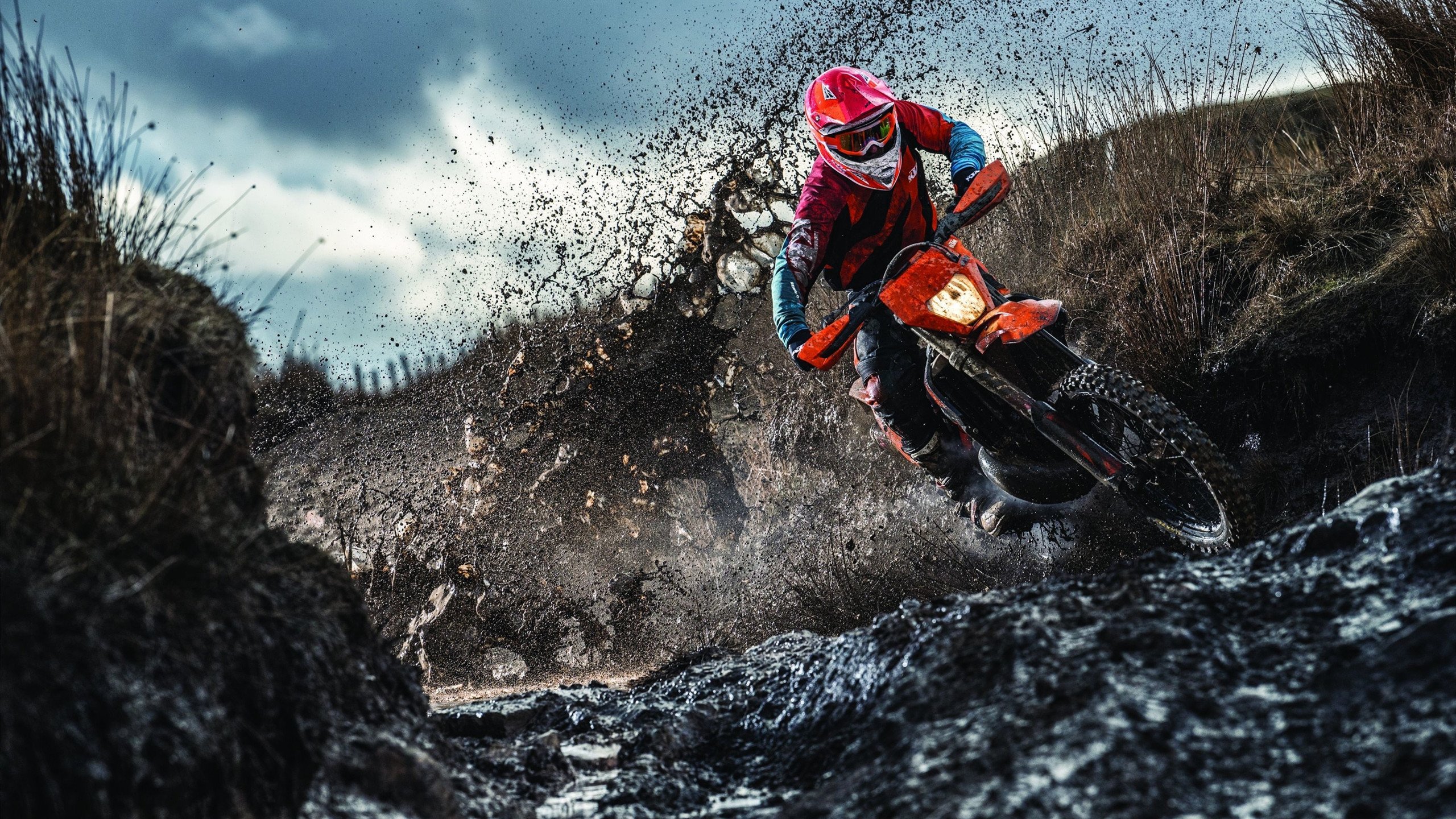 体育产业未来发展机会